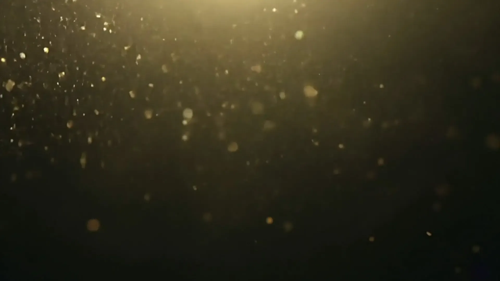 Golden Dust Particle Overlay for Luxury Fashion Ads